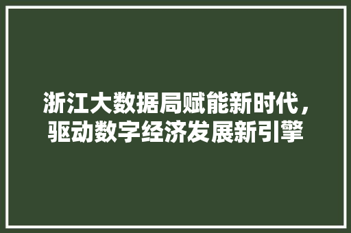 浙江大数据局赋能新时代，驱动数字经济发展新引擎  第1张