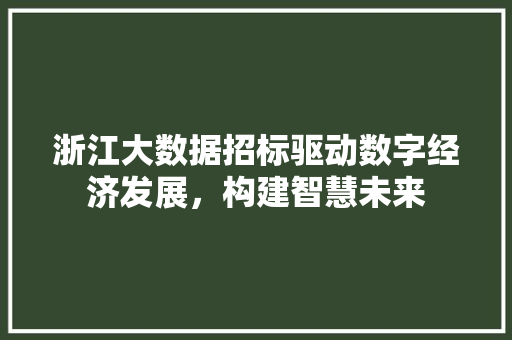 浙江大数据招标驱动数字经济发展，构建智慧未来  第1张
