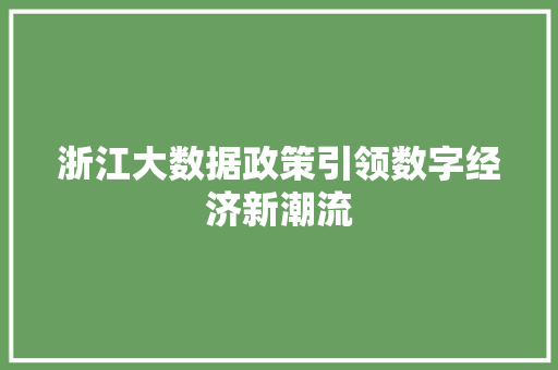 浙江大数据政策引领数字经济新潮流  第1张