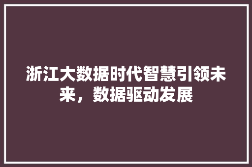 浙江大数据时代智慧引领未来，数据驱动发展  第1张