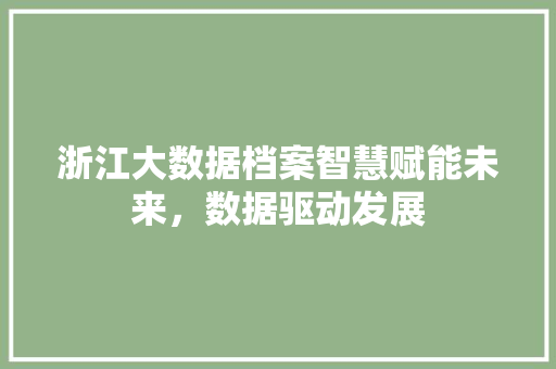 浙江大数据档案智慧赋能未来，数据驱动发展  第1张