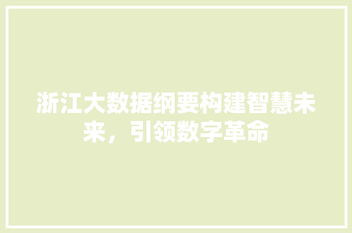 浙江大数据纲要构建智慧未来，引领数字革命  第1张