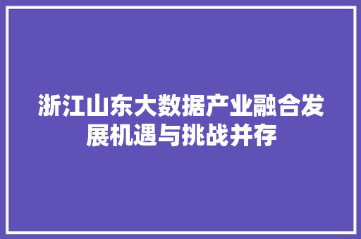 浙江山东大数据产业融合发展机遇与挑战并存  第1张