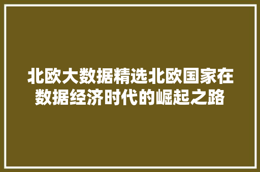 北欧大数据精选北欧国家在数据经济时代的崛起之路  第1张