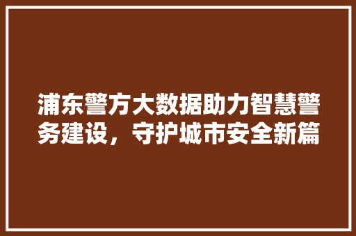 浦东警方大数据助力智慧警务建设，守护城市安全新篇章  第1张