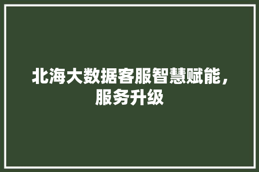 北海大数据客服智慧赋能，服务升级  第1张