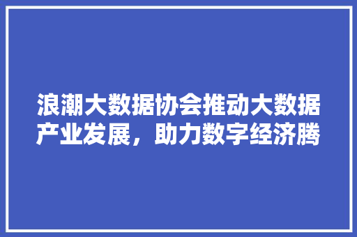浪潮大数据协会推动大数据产业发展，助力数字经济腾飞  第1张