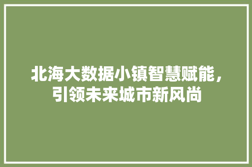北海大数据小镇智慧赋能，引领未来城市新风尚  第1张