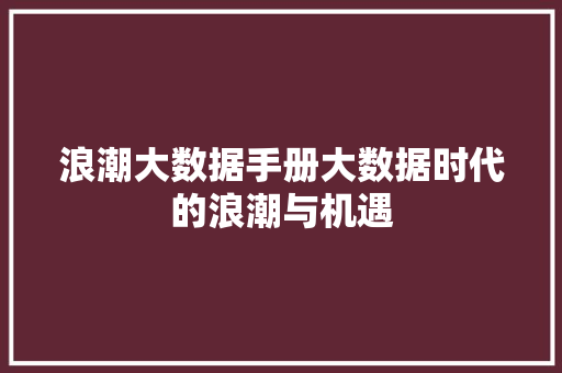 浪潮大数据手册大数据时代的浪潮与机遇  第1张