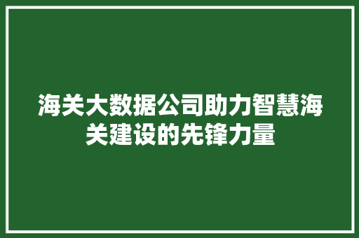 海关大数据公司助力智慧海关建设的先锋力量  第1张