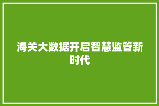 海关大数据开启智慧监管新时代  第1张