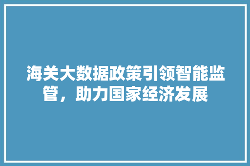 海关大数据政策引领智能监管，助力国家经济发展  第1张