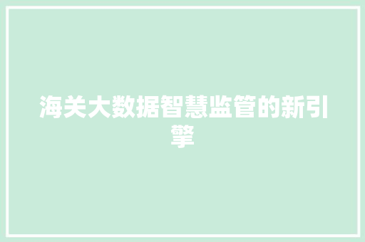 海关大数据智慧监管的新引擎  第1张