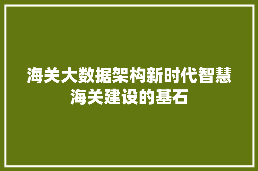 海关大数据架构新时代智慧海关建设的基石  第1张