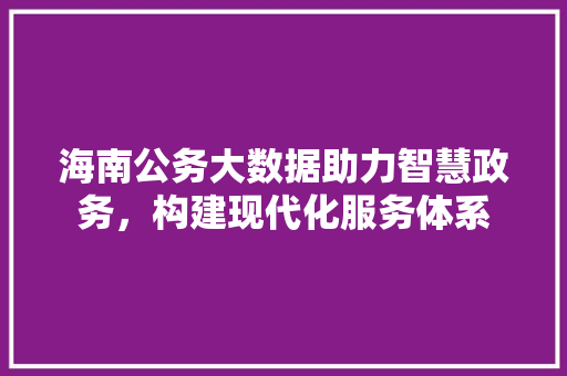 海南公务大数据助力智慧政务，构建现代化服务体系  第1张