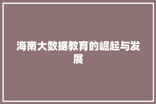 海南大数据教育的崛起与发展  第1张