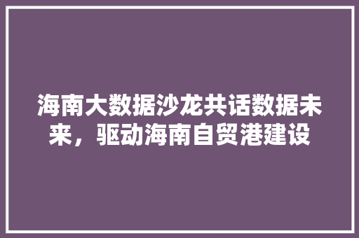 海南大数据沙龙共话数据未来，驱动海南自贸港建设  第1张