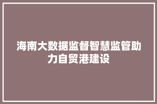 海南大数据监督智慧监管助力自贸港建设  第1张