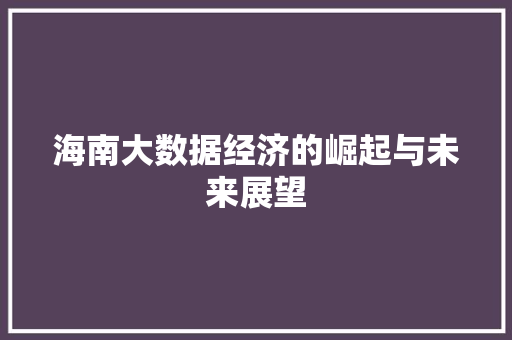 海南大数据经济的崛起与未来展望  第1张
