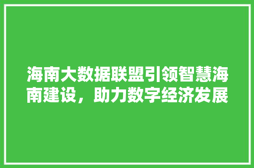 海南大数据联盟引领智慧海南建设，助力数字经济发展  第1张