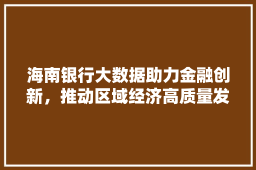 海南银行大数据助力金融创新，推动区域经济高质量发展