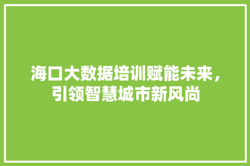 海口大数据培训赋能未来，引领智慧城市新风尚
