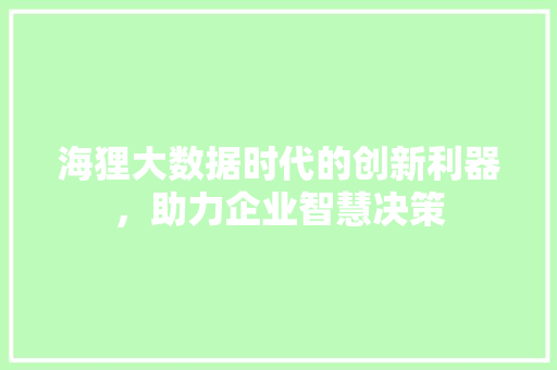 海狸大数据时代的创新利器，助力企业智慧决策  第1张