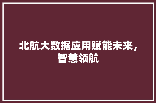 北航大数据应用赋能未来，智慧领航