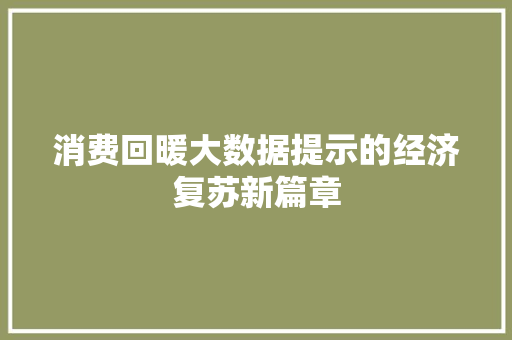 消费回暖大数据提示的经济复苏新篇章  第1张