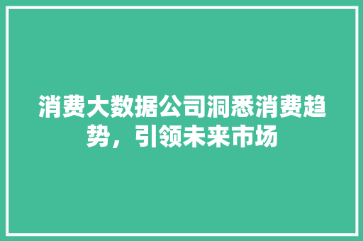 消费大数据公司洞悉消费趋势，引领未来市场  第1张