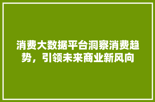 消费大数据平台洞察消费趋势，引领未来商业新风向