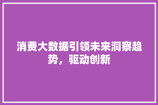 消费大数据引领未来洞察趋势，驱动创新  第1张