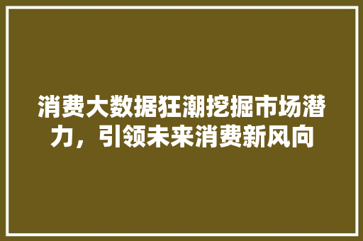 消费大数据狂潮挖掘市场潜力，引领未来消费新风向  第1张