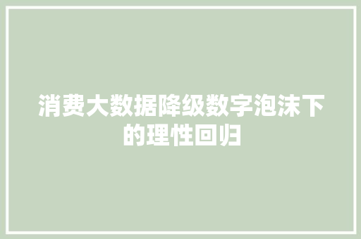 消费大数据降级数字泡沫下的理性回归  第1张