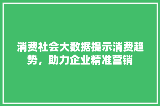 消费社会大数据提示消费趋势，助力企业精准营销  第1张