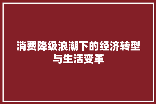 消费降级浪潮下的经济转型与生活变革