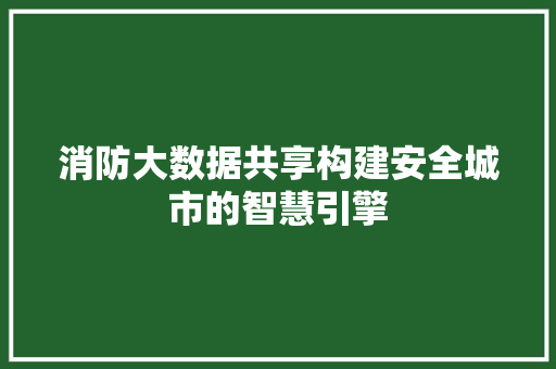 消防大数据共享构建安全城市的智慧引擎  第1张