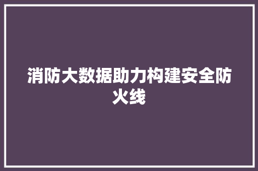 消防大数据助力构建安全防火线  第1张