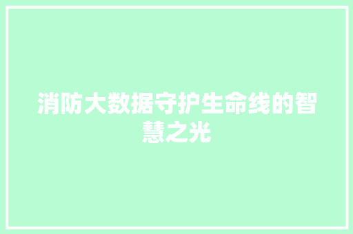 消防大数据守护生命线的智慧之光  第1张