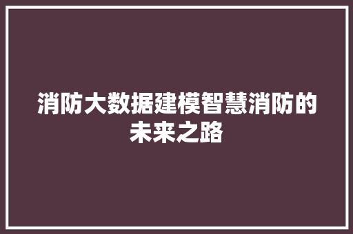 消防大数据建模智慧消防的未来之路  第1张