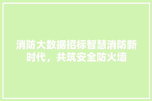 消防大数据招标智慧消防新时代，共筑安全防火墙