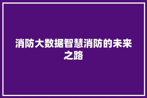 消防大数据智慧消防的未来之路  第1张