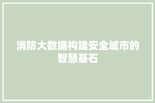 消防大数据构建安全城市的智慧基石  第1张