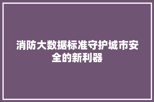 消防大数据标准守护城市安全的新利器  第1张