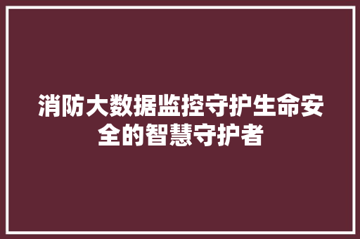 消防大数据监控守护生命安全的智慧守护者  第1张