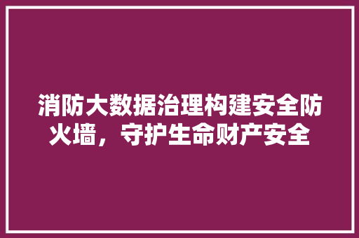 消防大数据治理构建安全防火墙，守护生命财产安全  第1张