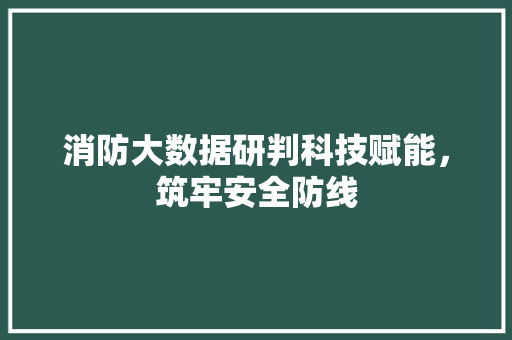 消防大数据研判科技赋能，筑牢安全防线  第1张