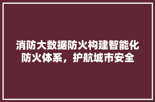 消防大数据防火构建智能化防火体系，护航城市安全  第1张