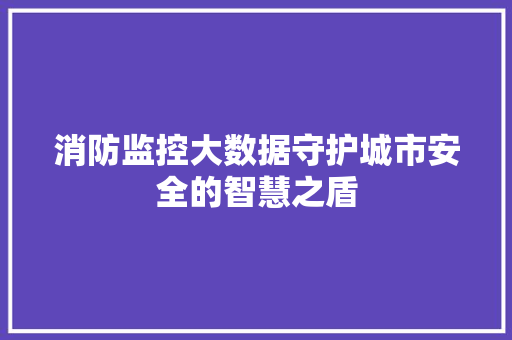 消防监控大数据守护城市安全的智慧之盾  第1张