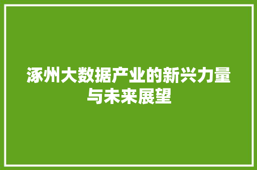 涿州大数据产业的新兴力量与未来展望